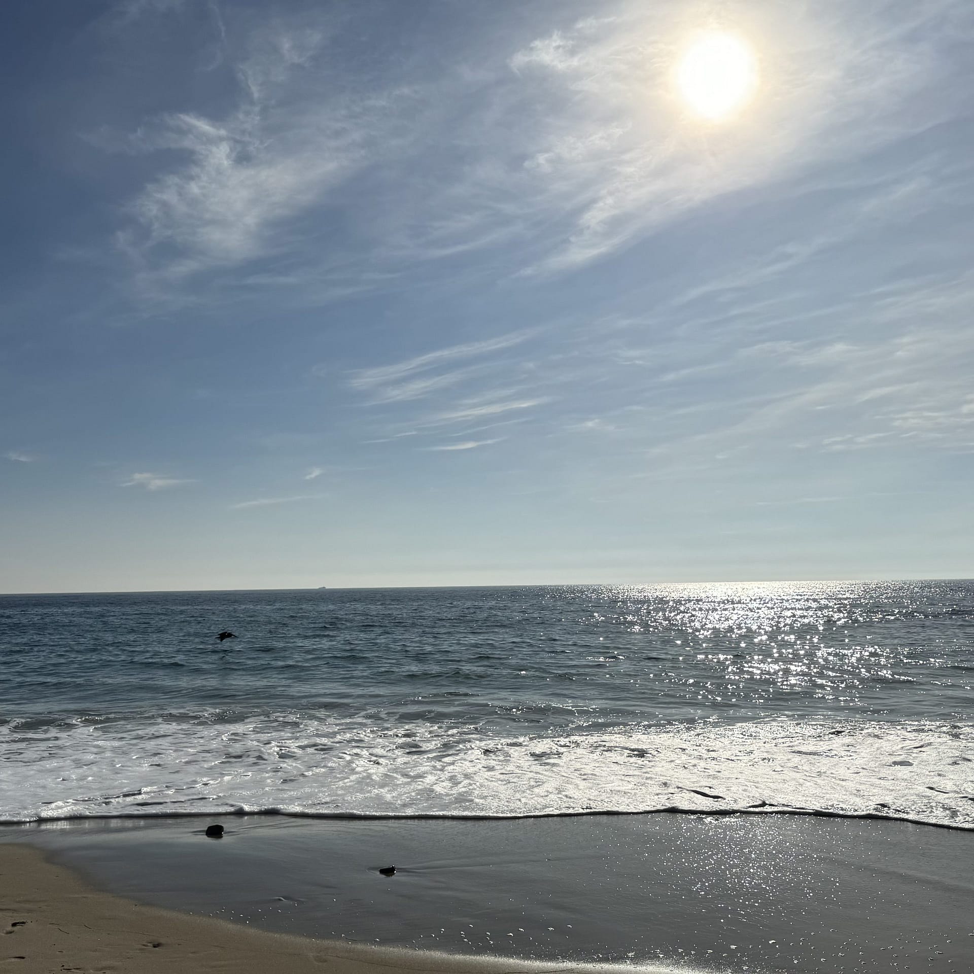 Positive neuroplasticity explained… in song!